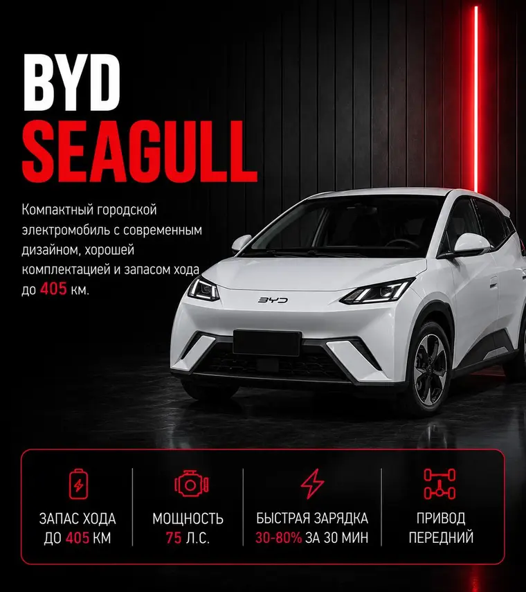 BYD Seagull